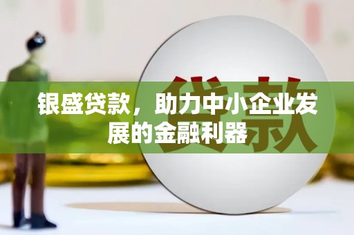 中原银盛贷款，助力中小企业发展的金融利器
