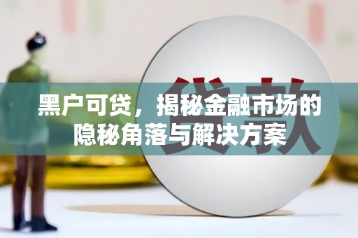 中原黑户可贷，揭秘金融市场的隐秘角落与解决方案