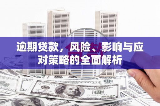 中原逾期贷款，风险、影响与应对策略的全面解析