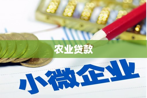 中原农业贷款