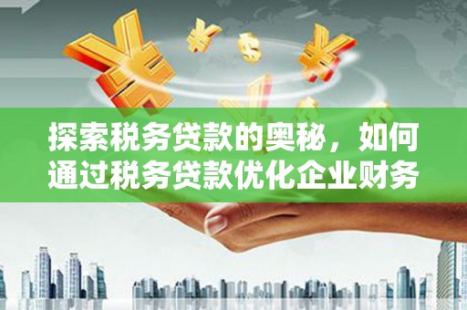 中原探索税务贷款的奥秘，如何通过税务贷款优化企业财务