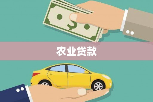 中原农业贷款