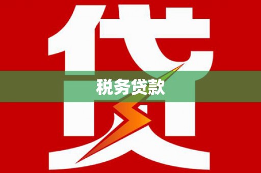 中原税务贷款