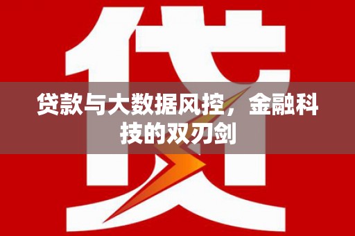 中原贷款与大数据风控，金融科技的双刃剑