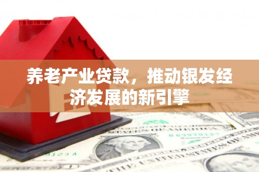 中原养老产业贷款，推动银发经济发展的新引擎