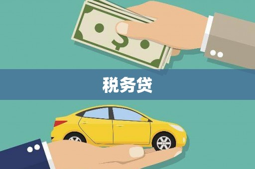 中原税务贷