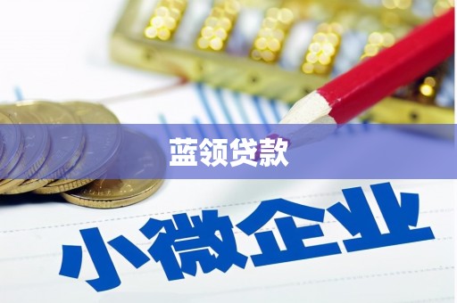中原蓝领贷款