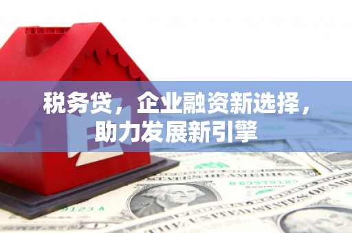 中原税务贷，企业融资新选择，助力发展新引擎