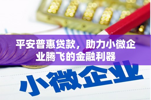 中原平安普惠贷款，助力小微企业腾飞的金融利器