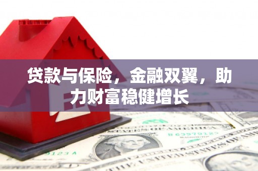 中原贷款与保险，金融双翼，助力财富稳健增长