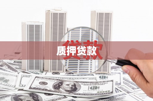 中原质押贷款