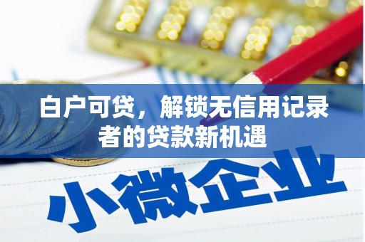 中原白户可贷，解锁无信用记录者的贷款新机遇