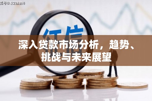 中原深入贷款市场分析，趋势、挑战与未来展望