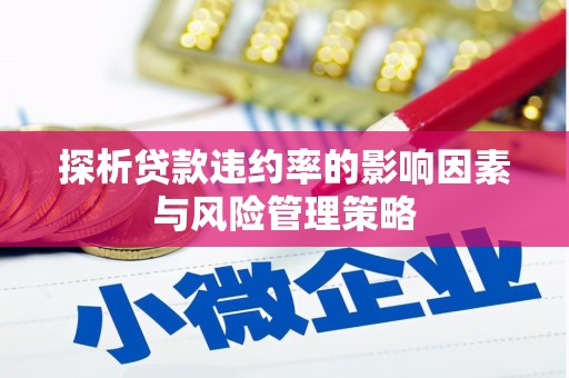 中原探析贷款违约率的影响因素与风险管理策略