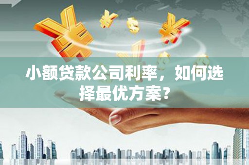 中原小额贷款公司利率，如何选择最优方案？