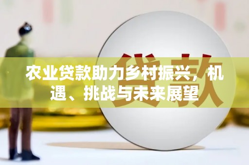 中原农业贷款助力乡村振兴，机遇、挑战与未来展望