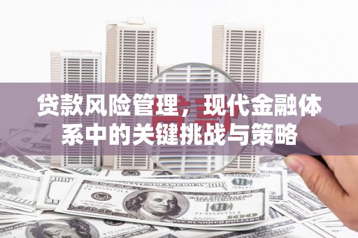 中原贷款风险管理，现代金融体系中的关键挑战与策略
