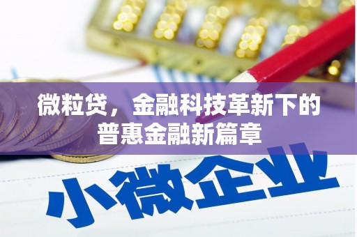 中原微粒贷，金融科技革新下的普惠金融新篇章