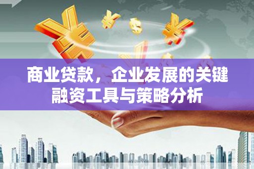 中原商业贷款，企业发展的关键融资工具与策略分析