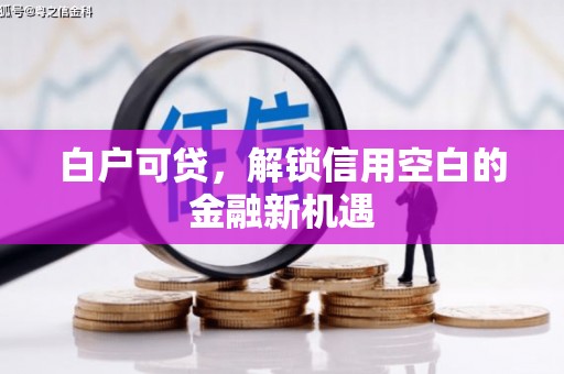 中原白户可贷，解锁信用空白的金融新机遇