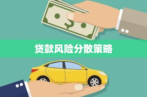 中原贷款风险分散策略