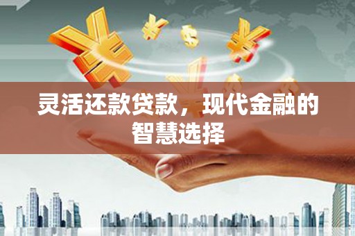 中原灵活还款贷款，现代金融的智慧选择