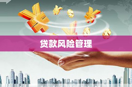 中原贷款风险管理