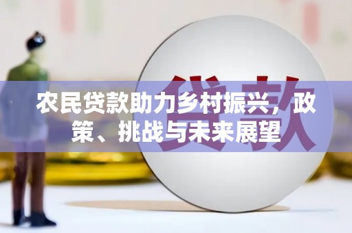 中原农民贷款助力乡村振兴，政策、挑战与未来展望