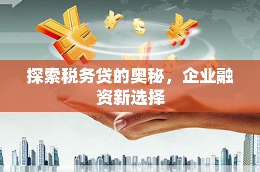 中原探索税务贷的奥秘，企业融资新选择