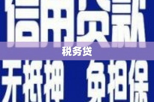 中原税务贷