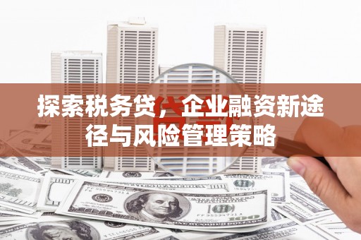 中原探索税务贷，企业融资新途径与风险管理策略