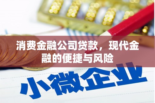 中原消费金融公司贷款，现代金融的便捷与风险