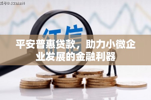 中原平安普惠贷款，助力小微企业发展的金融利器
