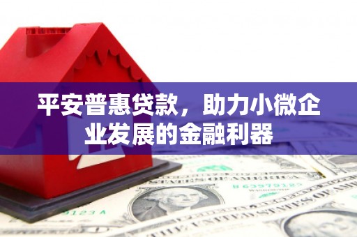 中原平安普惠贷款，助力小微企业发展的金融利器