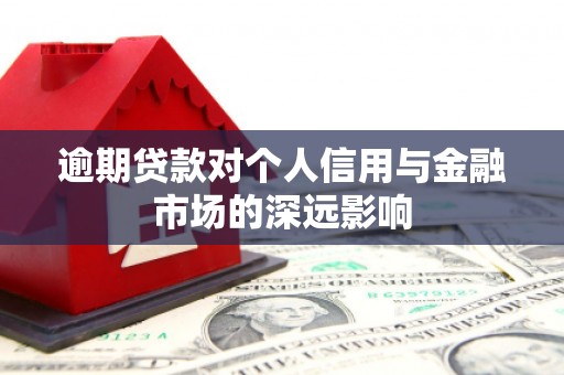 中原逾期贷款对个人信用与金融市场的深远影响