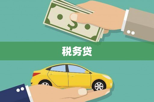 中原税务贷