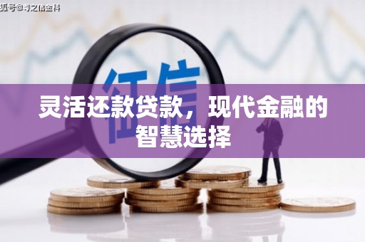 中原灵活还款贷款，现代金融的智慧选择