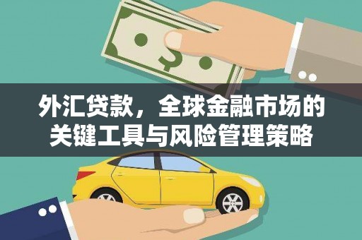 中原外汇贷款，全球金融市场的关键工具与风险管理策略