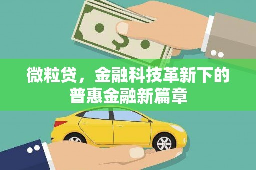 中原微粒贷，金融科技革新下的普惠金融新篇章