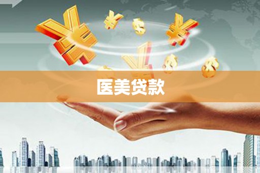 中原医美贷款