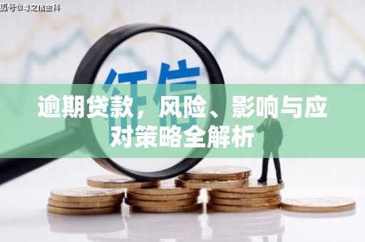 中原逾期贷款，风险、影响与应对策略全解析