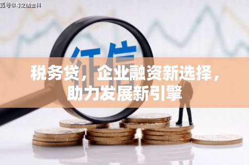 中原税务贷，企业融资新选择，助力发展新引擎