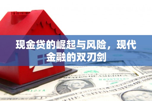 中原现金贷的崛起与风险，现代金融的双刃剑