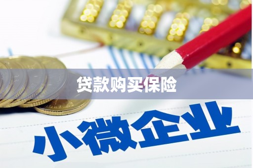 中原贷款购买保险