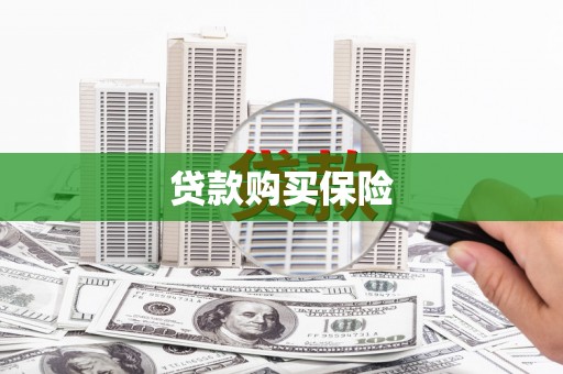 中原贷款购买保险