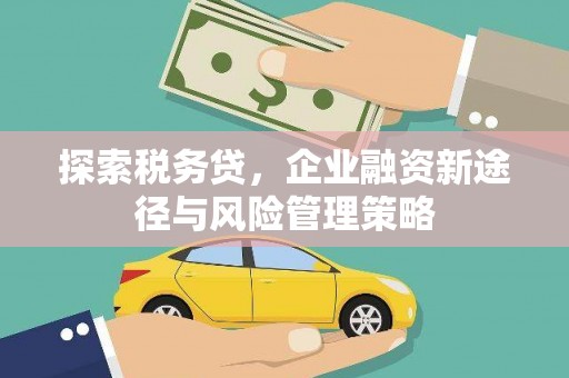 中原探索税务贷，企业融资新途径与风险管理策略