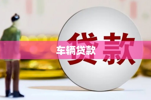 中原车辆贷款