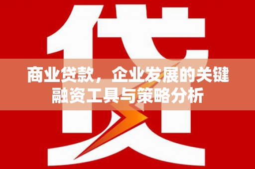 中原商业贷款，企业发展的关键融资工具与策略分析