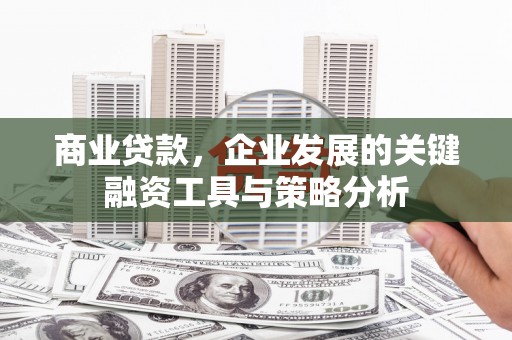 中原商业贷款，企业发展的关键融资工具与策略分析