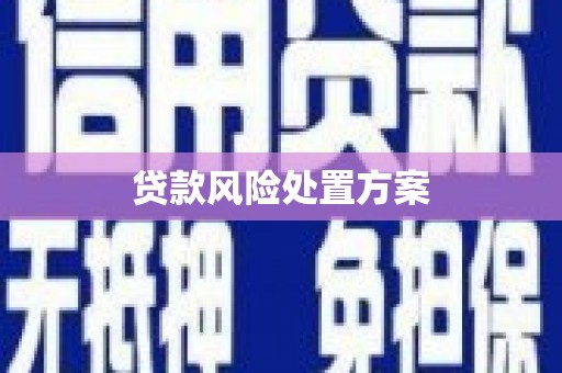 中原贷款风险处置方案